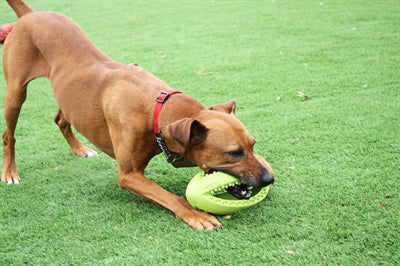 Happy Pet Grubber Interactive Rugbyball