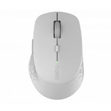 Souris Rapoo mm gris clair m300