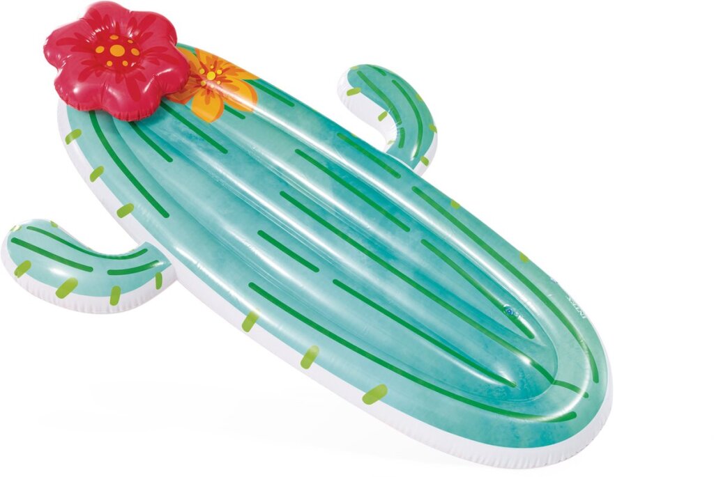 Intex 58793eu cactus float