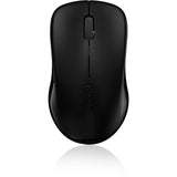 Souris Rapoo opt. 2,4 GHz noir 1620