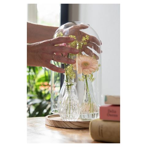 Cloche Clayre eef 6gl2170 transparent 18x28 cm