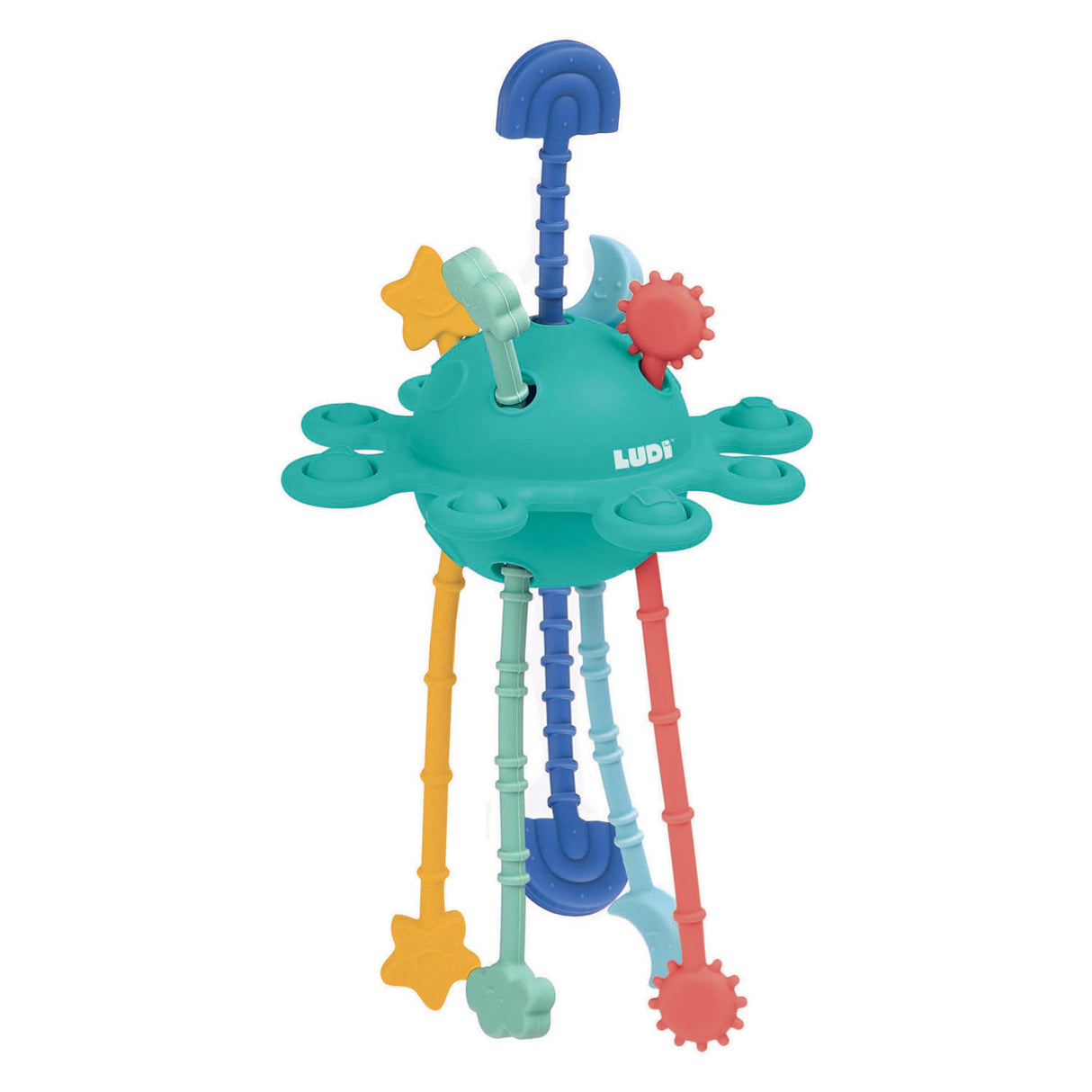 Jouet d'activité zippy pour bébé Ludi