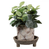 Bol décoration boeuf Clayre ø22x7cm