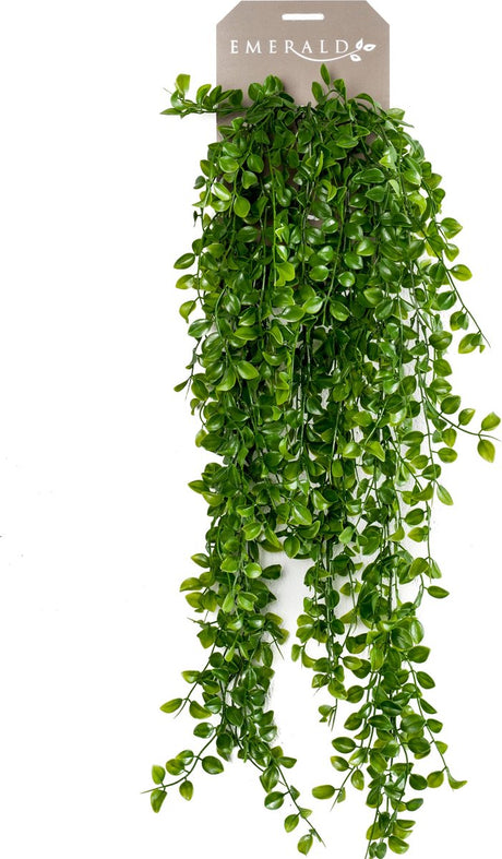 Emeraud Art Plant grimpant Vijg 80 cm