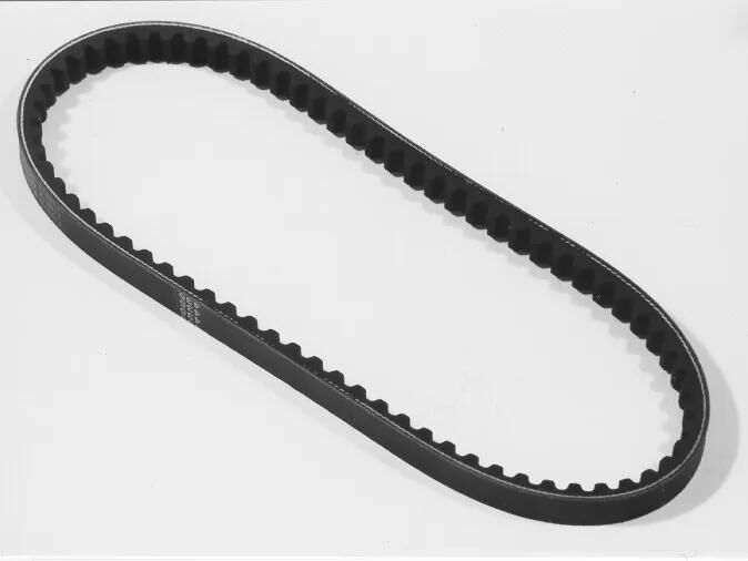 Courroie trapézoïdale Malossi renforcée et rigidifiée 16,5x745mm
