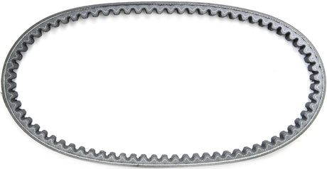 Courroie trapézoïdale Malossi renforcée et rigidifiée, la plus large 19x745mm