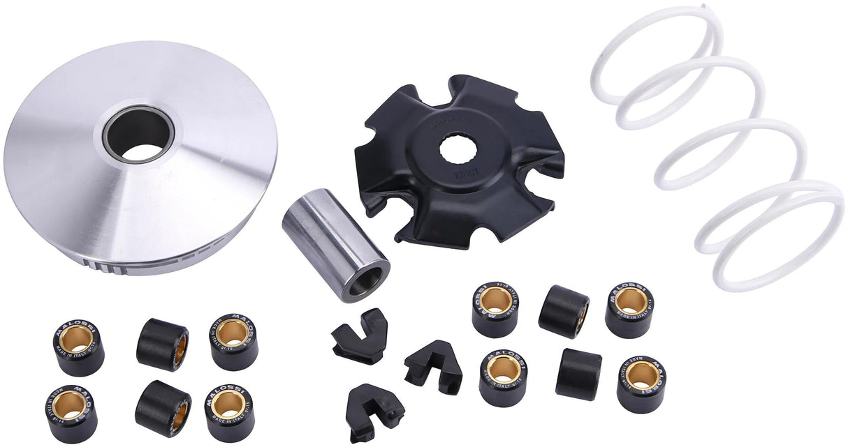 Variateur multivar Malossi
