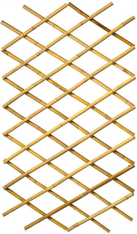Nature latwerk pour jardin 45x180 cm BAMBO 6040720