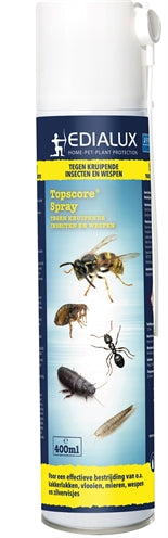 Top Score Crawling Insekt Wasp