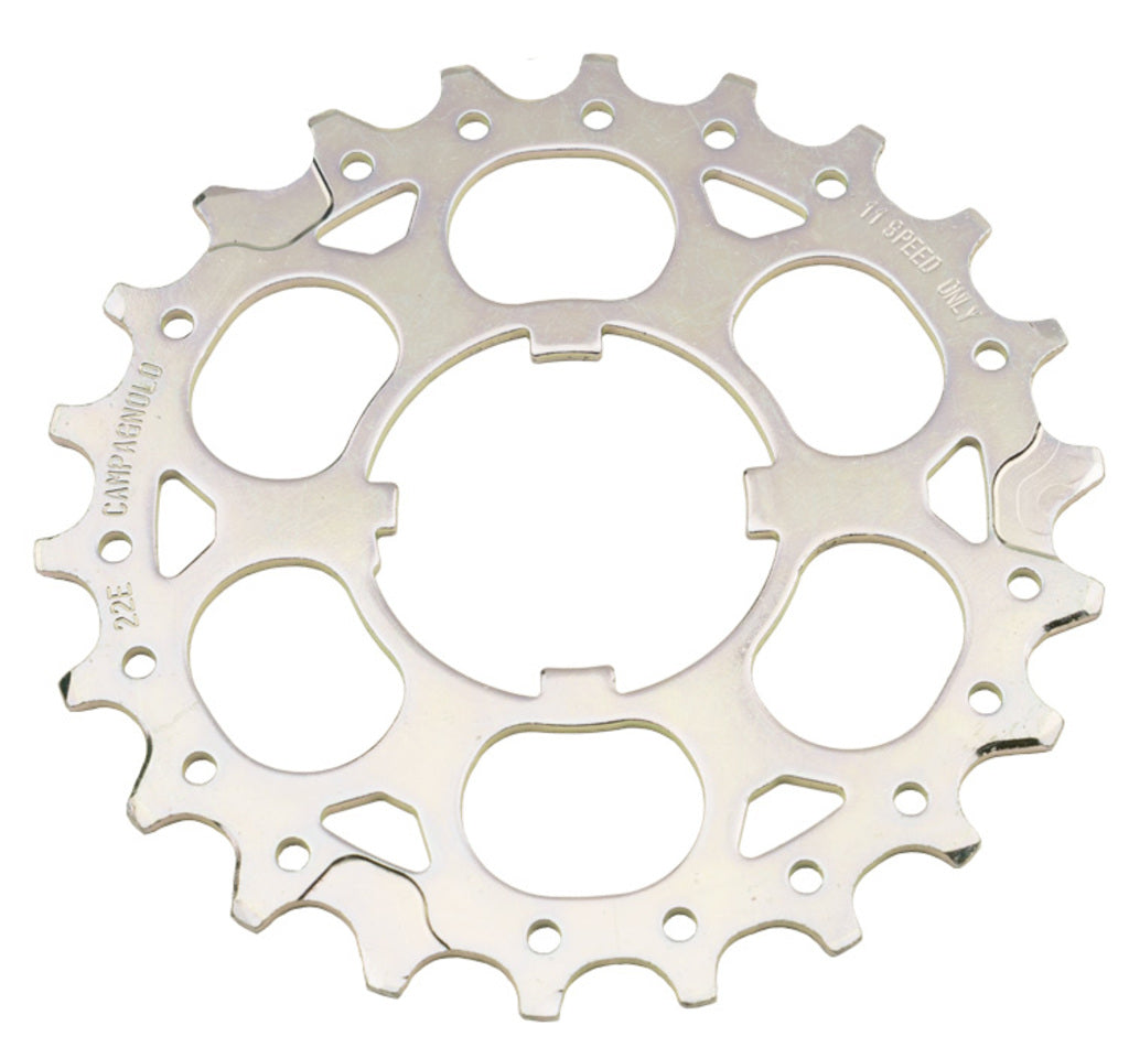 Pignon Campagnolo 22ème