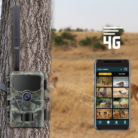 Caméra animalière Stealth Gear Hérisson 1080p 4G