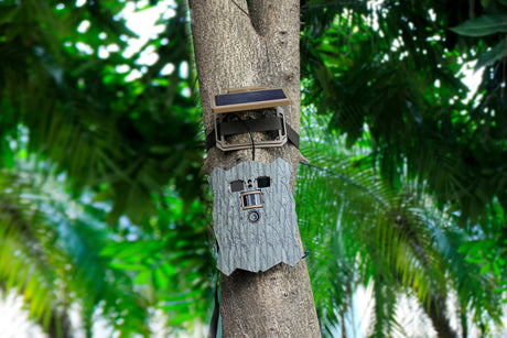 Caméra de faune solaire 4k wifi hibou à équipement furtif