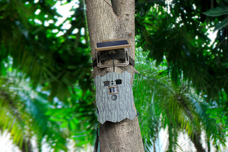 Caméra de faune solaire 4k wifi hibou à équipement furtif