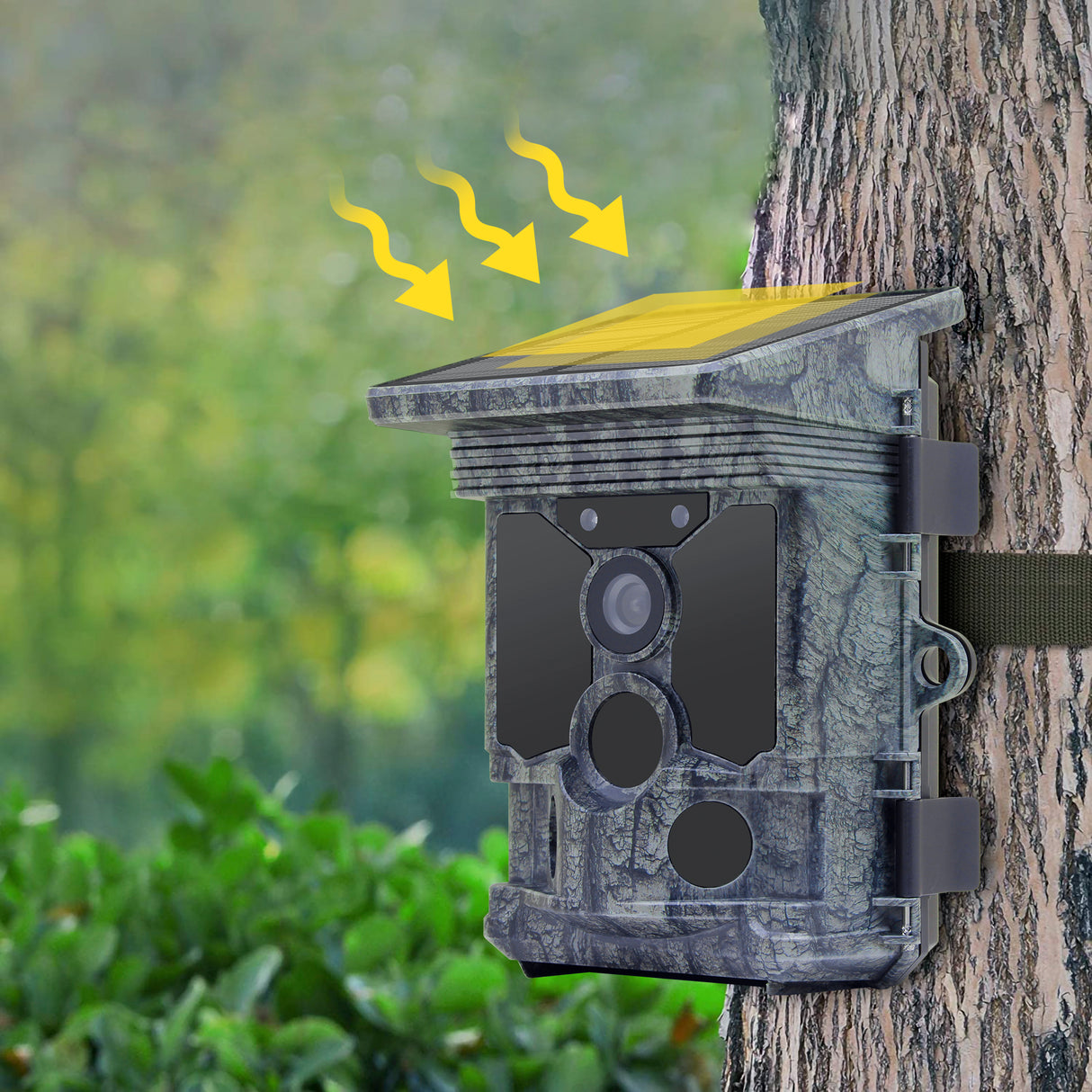 Caméra de surveillance de la faune solaire 4k wifi fox à équipement furtif