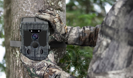 Caméra de surveillance de la faune solaire 4k wifi fox à équipement furtif