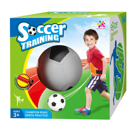 voetbaltrainer