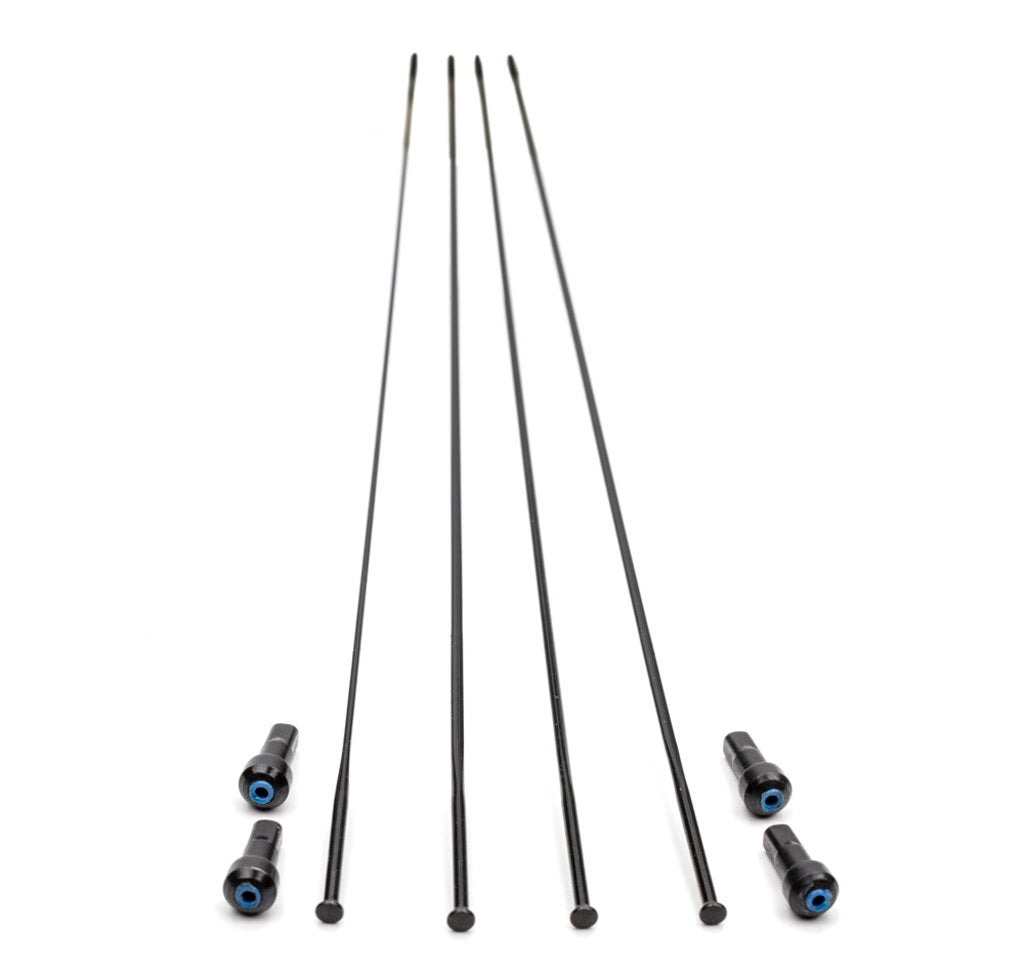 Kit rayons Campagnolo bora wto 45 db