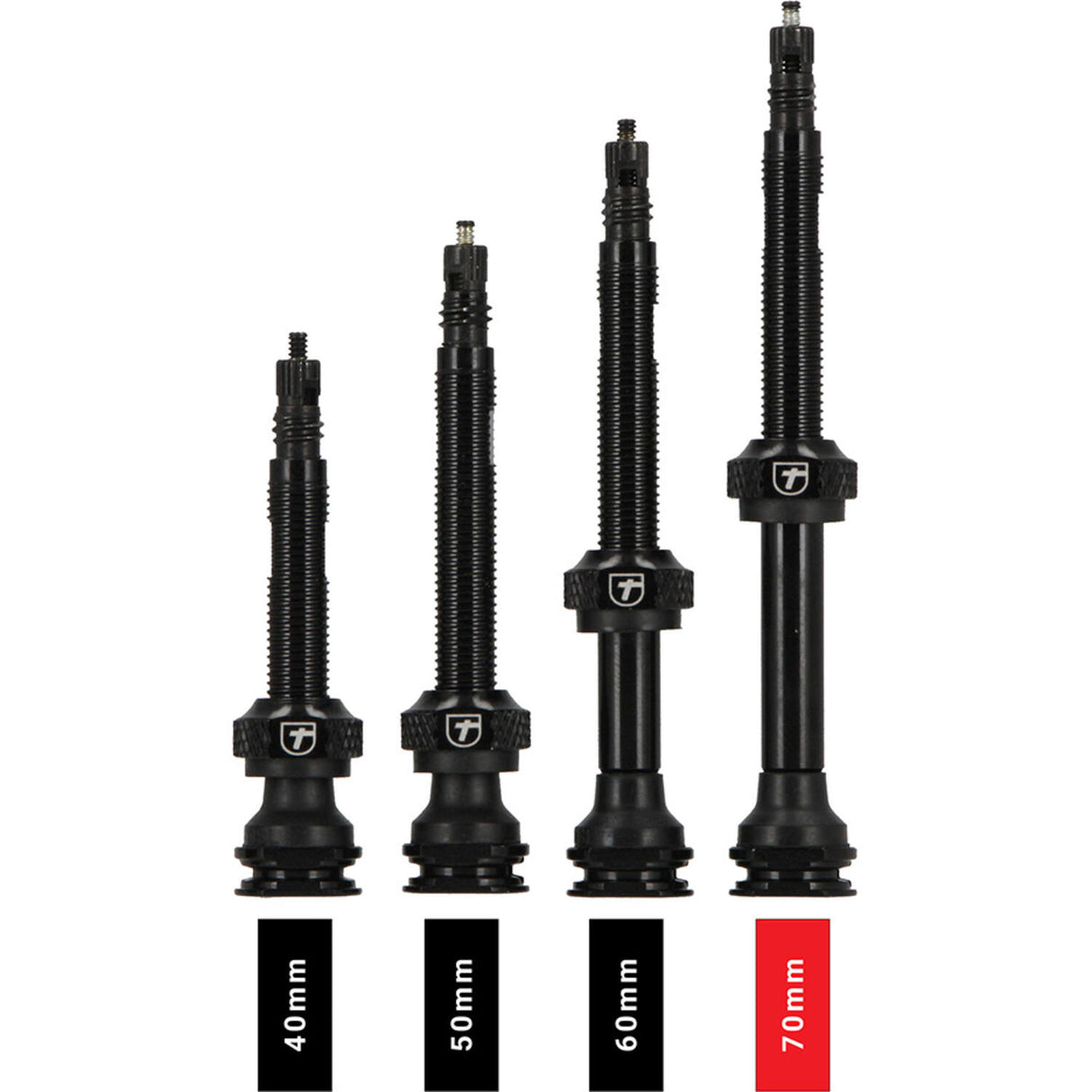 Trivio - valve tubeless noire fvt