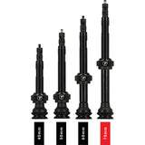 Trivio - valve tubeless noire fvt