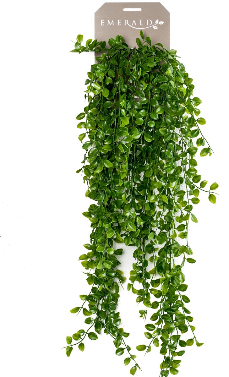 Émeraude - plante artificielle suspendue ficus pumila 80cm - plante artificielle pour l'intérieur