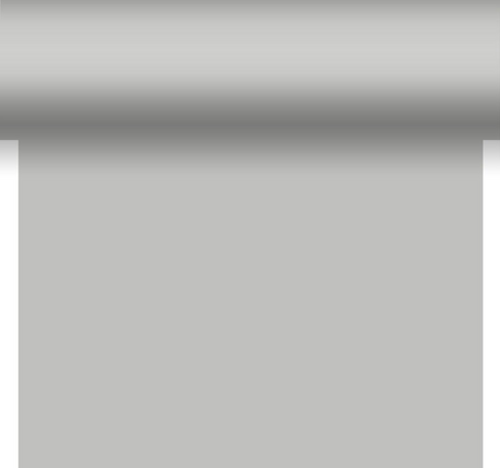 Duni 3-en-1 argent 40x480cm soie fsc
