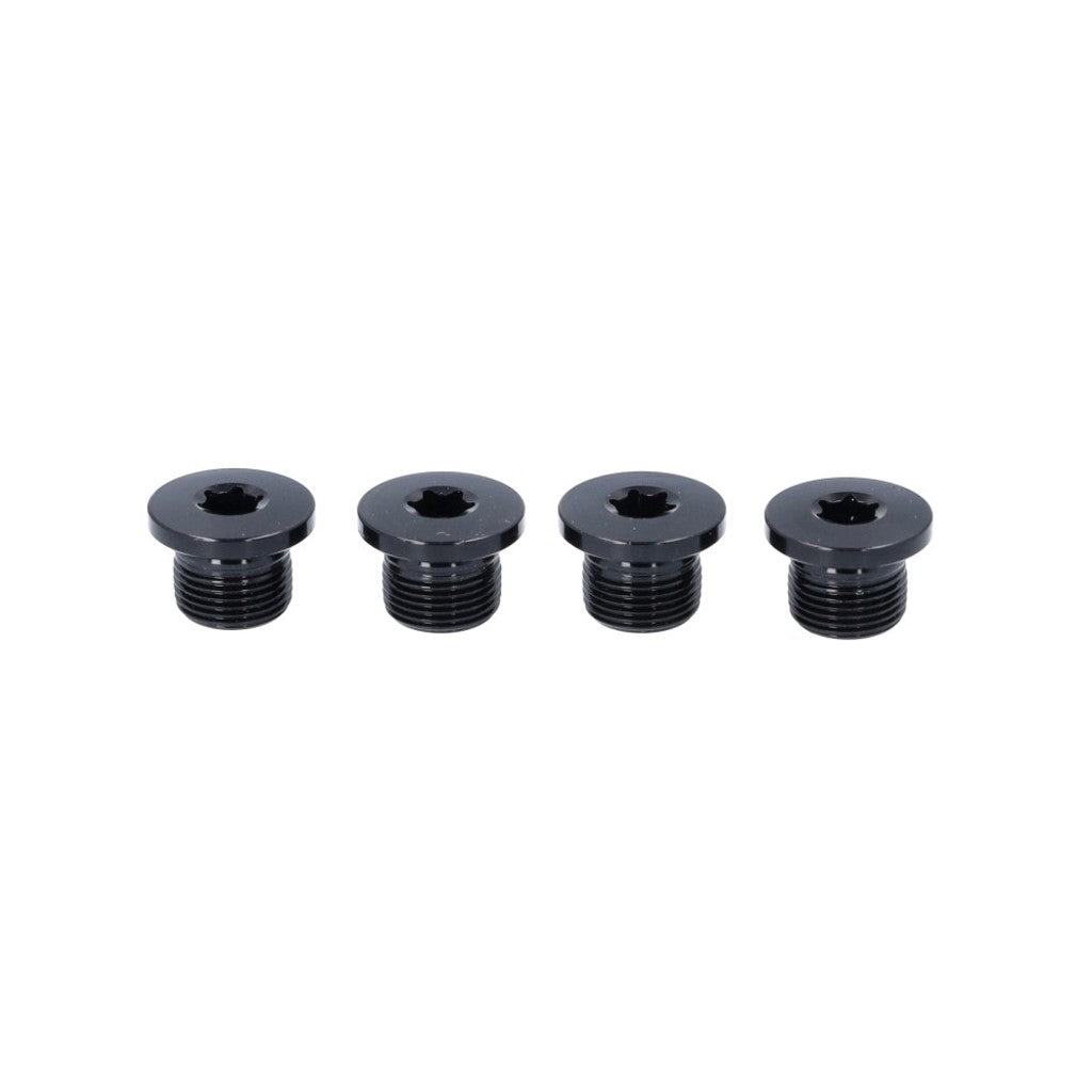 Campagnolo jeu de boulons de lame de chaîne ca ekar gt alm zw fc-ekgt100