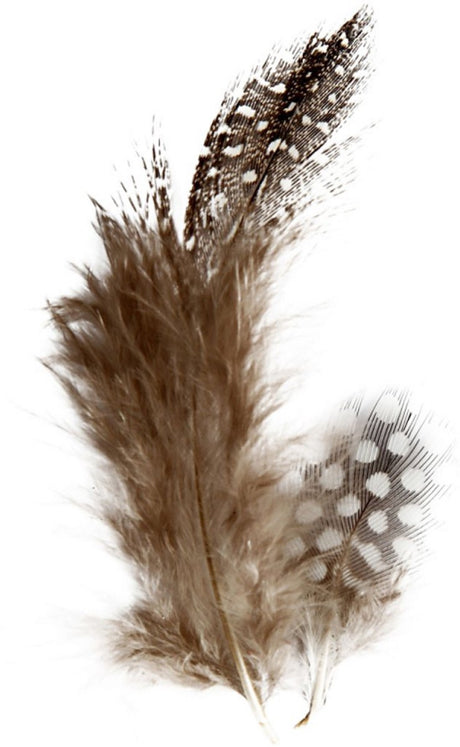 Entreprise créative https: www.cchobby.nl plumes-de-perle-fowl-ca-100-piece-brown-3-gr-1-doos