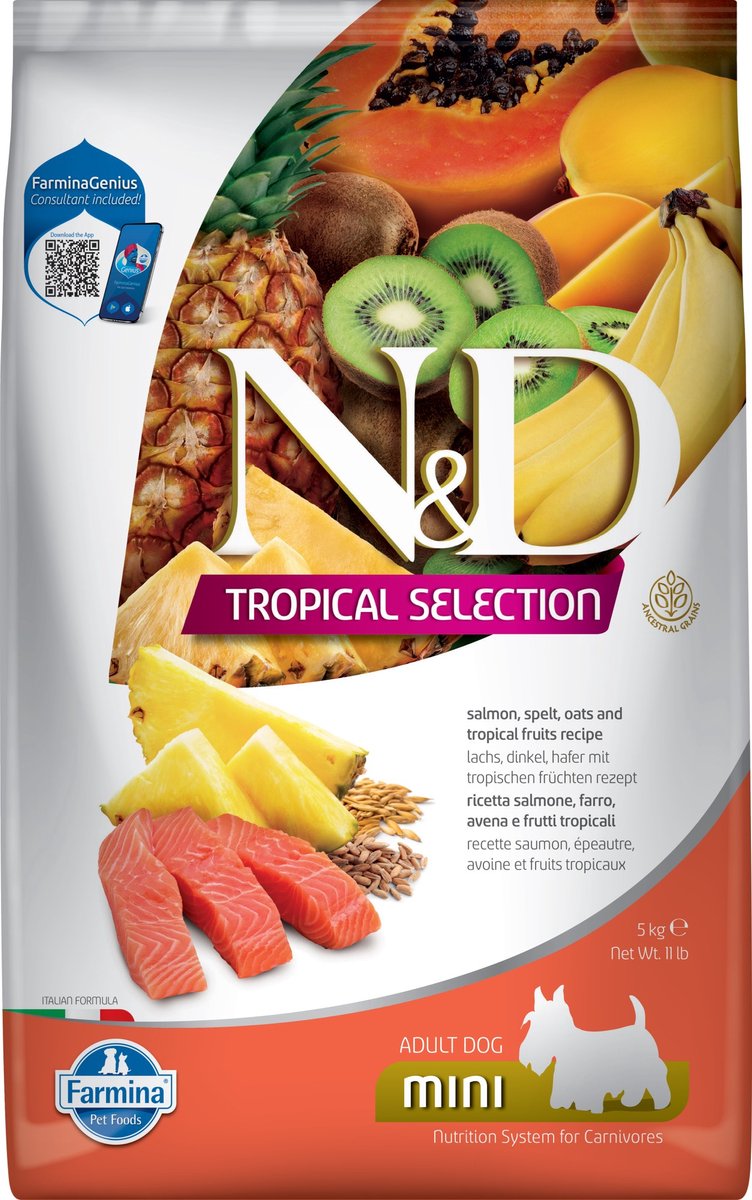 N d nourriture tropicale pour chien saumon petit large 5 kg