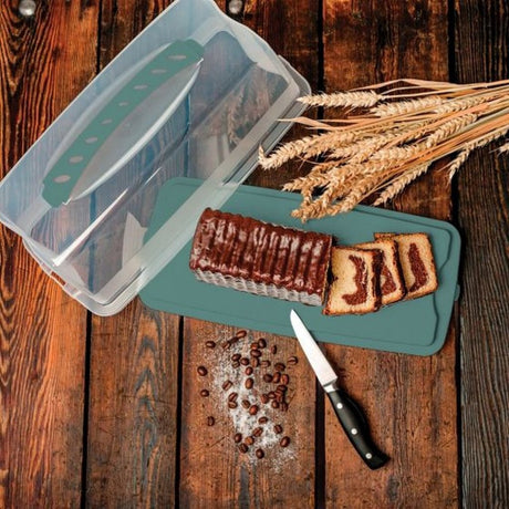 Rotho boîte à gâteaux frais rectangle 36x16,5x16,5 cm vert gui