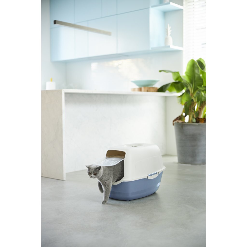 Bac à litière Rotho Bailey eco sable bleu