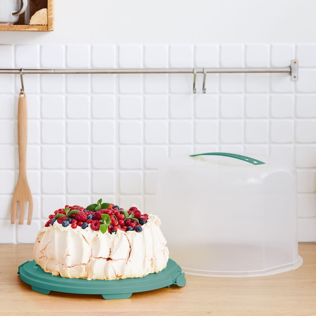 Rotho boîte à gâteaux frais xl 35,5x34,5x26 cm vert gui transparent