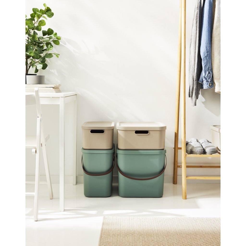 Rotho système de stockage albula 25l vert gui