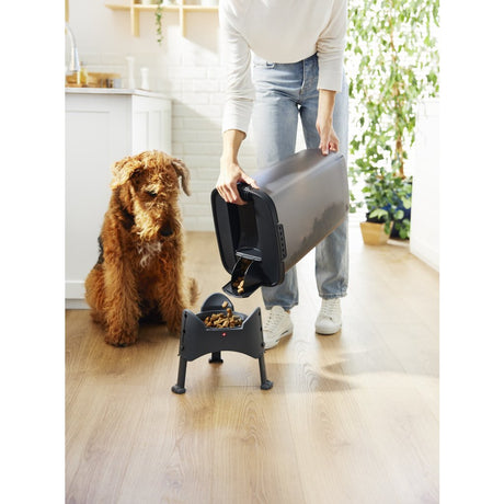 Rotho cody récipient à nourriture pour animaux 25l anthracite transparent