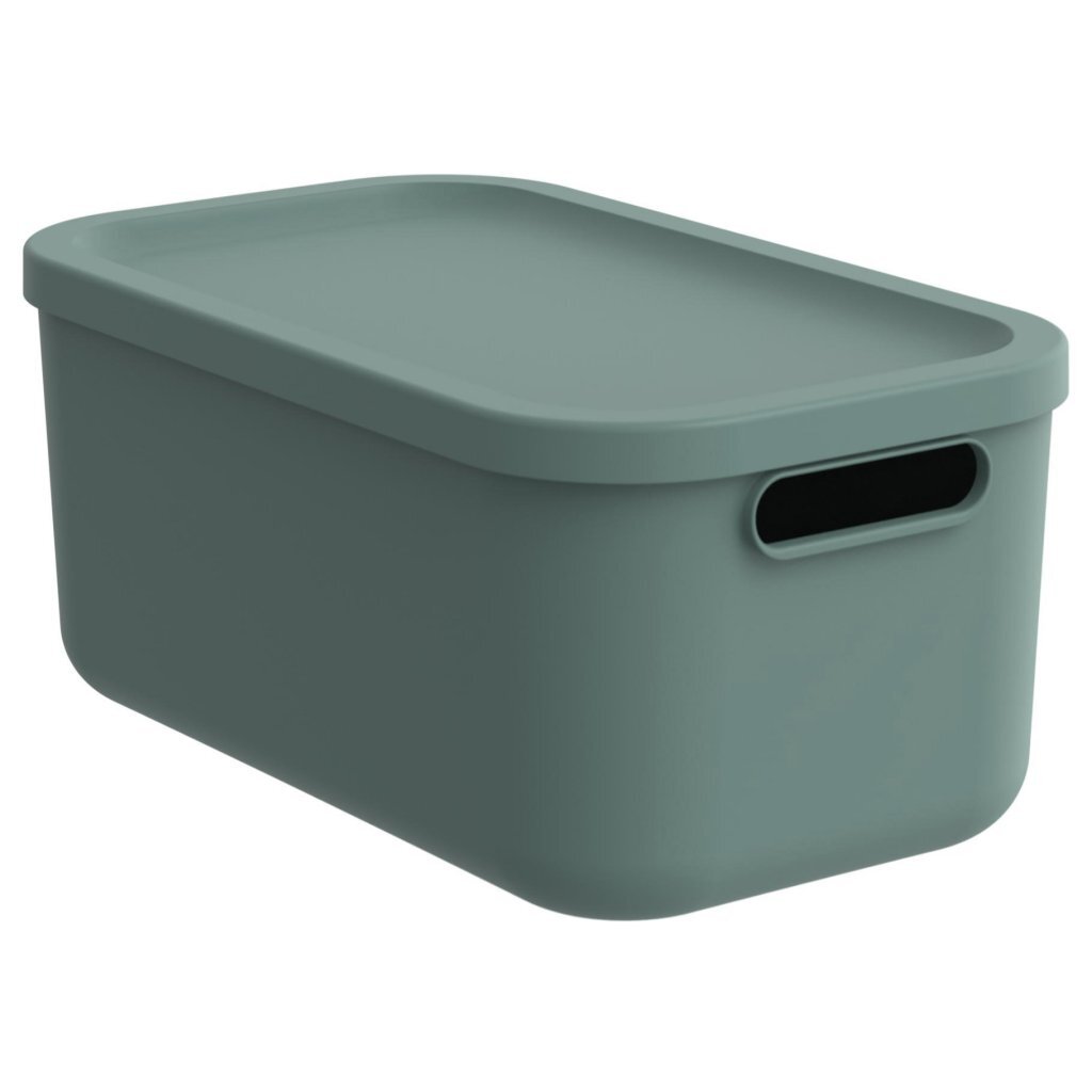 Rotho albula boîte de rangement 12l vert gui