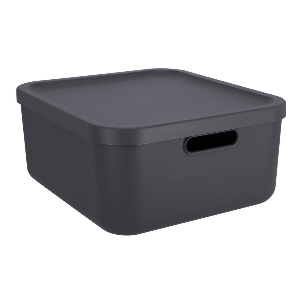Rotho boîte de rangement décoration albula light 20 l anthracite