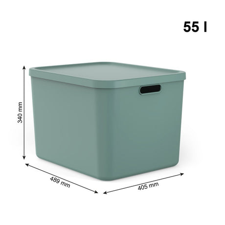 Rotho albula multibox 55l mistletoe groen
