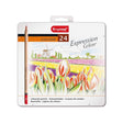 Crayons de couleur Bruynzeel 24pcs expression pour adultes