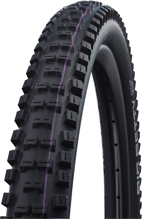 Schwalbe - parc à vélos big betty performance 26x2,40
