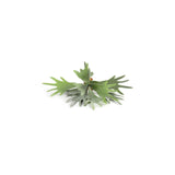 Countryfield plante artificielle platycerium vert 10xh63,5cm