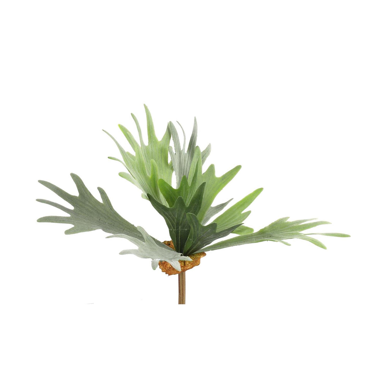 Countryfield plante artificielle platycerium vert 10xh63,5cm