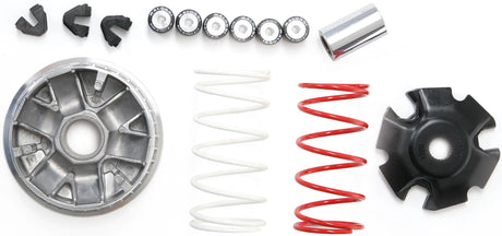 Variateur multivar Malossi