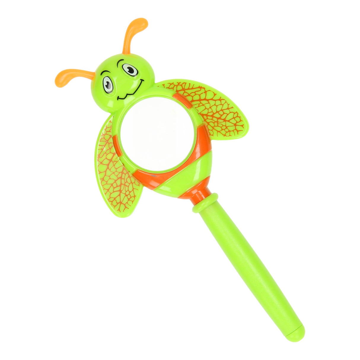 Insectes à la loupe