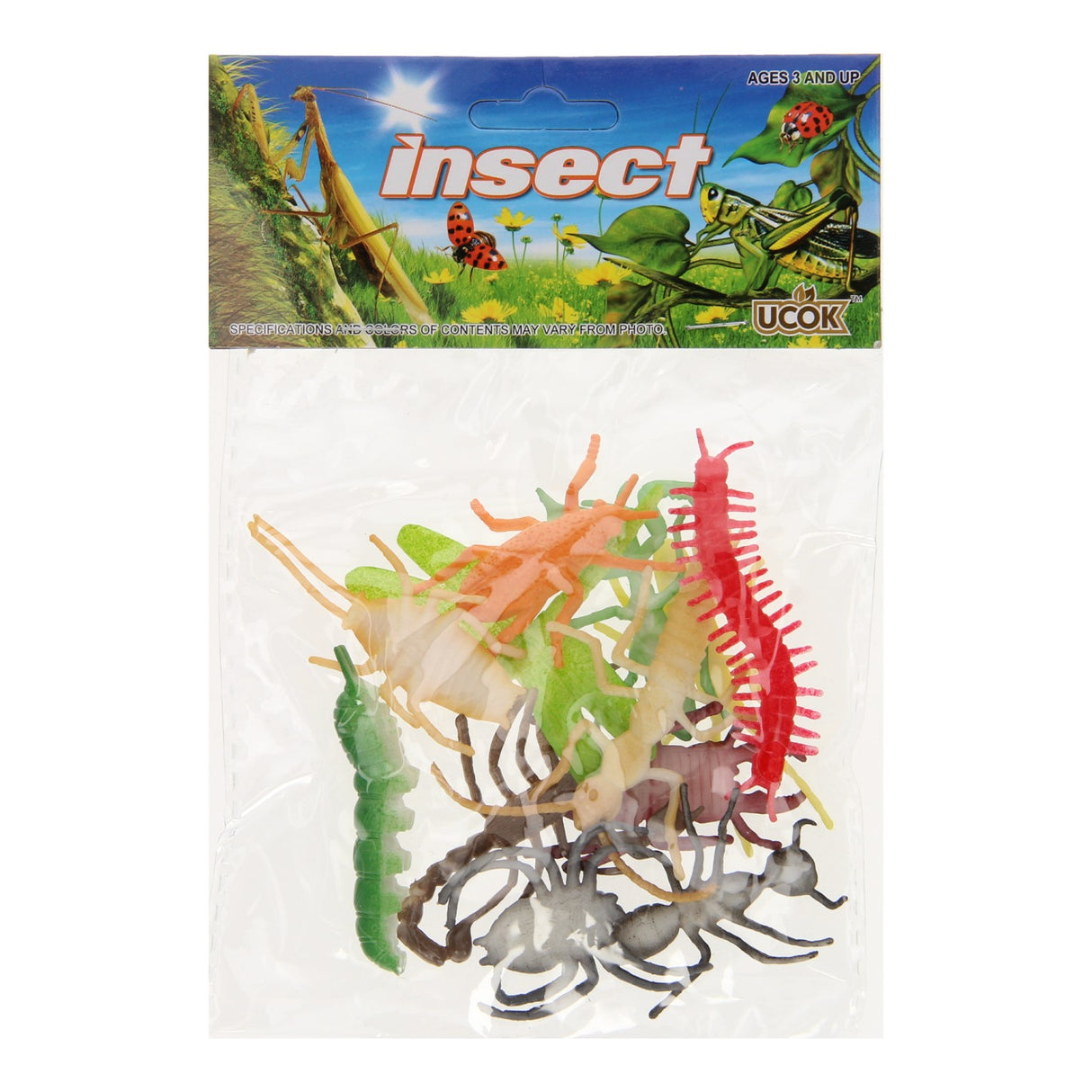 Insectes, 12 pièces.