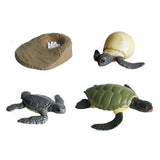 Cycplus Life Cycle Turtle Play Figur Set