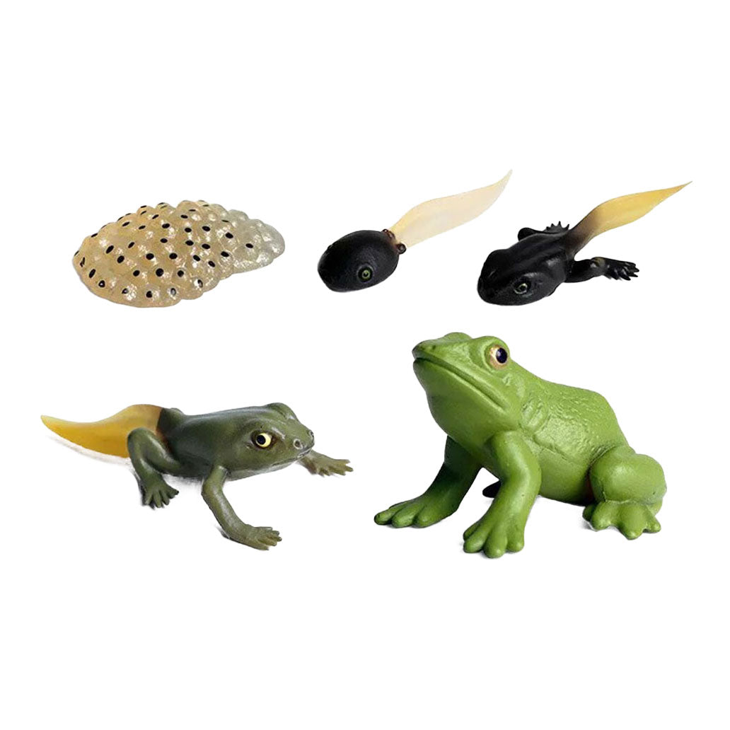 Cycplus Liewenszyklus Frog Plack Figur Set