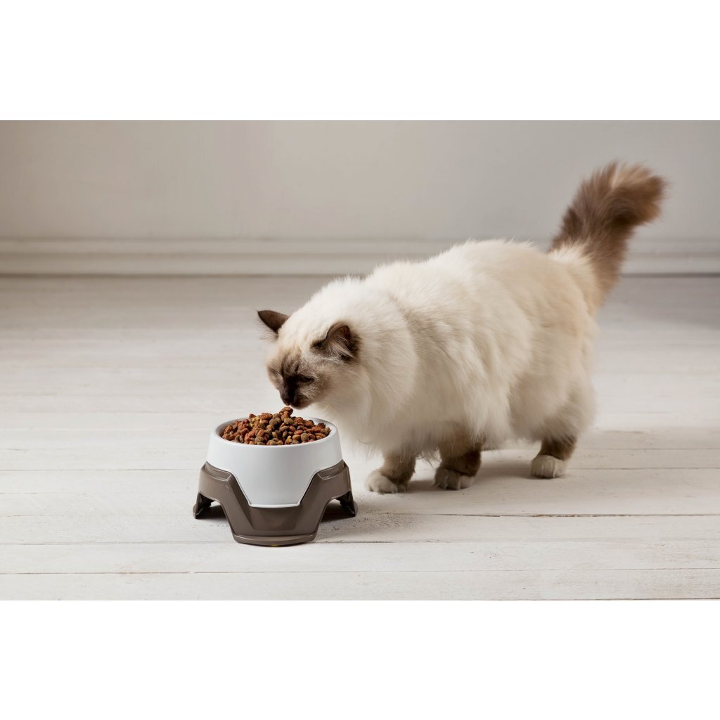 Bama bol à nourriture pour animaux empilable 19x10-13 cm assorti