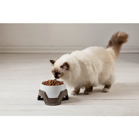 Bama bol à nourriture pour animaux empilable 19x10-13 cm assorti