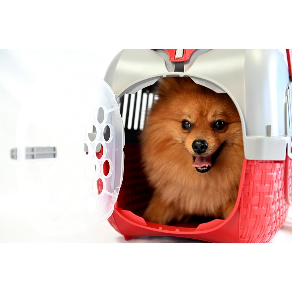 Boîte de transport pour animaux Bama 52x33x34 cm rouge argent