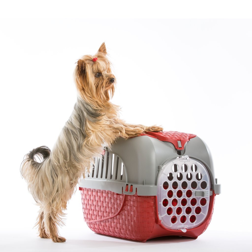 Boîte de transport pour animaux Bama 59x38x37 cm rouge argent