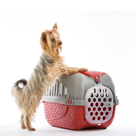 Boîte de transport pour animaux Bama 59x38x37 cm rouge argent